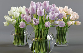 Three vases with tulips