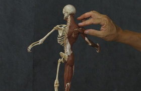 New Masters Academy - Build Your Own Anatomy Figure - Rey Bustos 1920x1080