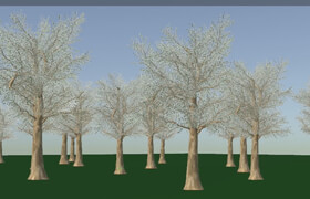 CG Circuit - Houdini Tree Rig With Vellum Leaves