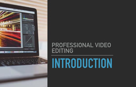 Udemy - Professional Video Editing