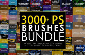 Creative Market - 3000 Photoshop Stamp Brushes Bundle 5657270