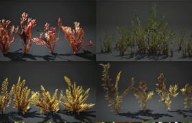 3D Plants - Bushes - 3dmodel