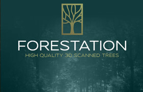 Forestation V1 - Blender
