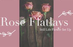 Skillshare - Still Life Photography Creating A Beautiful Rose Flat lay Photo Using Natural Light