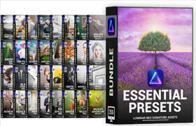 Essential Presets Bundle for Luminar Neo
