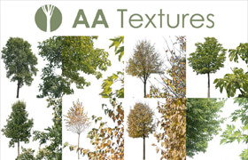 AA Textures - 16Cutout Trees