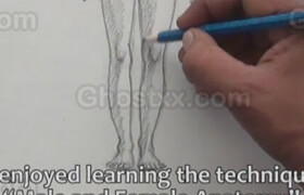 Udemy - Easy Steps to Figure Drawing - Anatomy of Male & Female Body