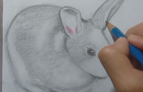 Udemy - Draw a Rabbit in 5 Easy Steps