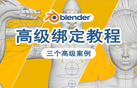 【正版】Blender 高级绑定教程【写实人物/幻想生物龙/卡通角色】