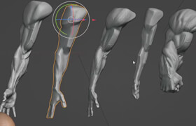 Udemy - Arm and hand anatomy exercises course