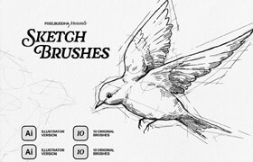 SKETCHER - Sketch Brushes for Illustrator & Photoshop